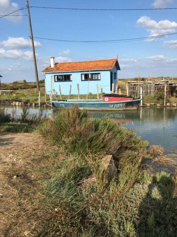 La Possibilite D'une Ile Apartment
